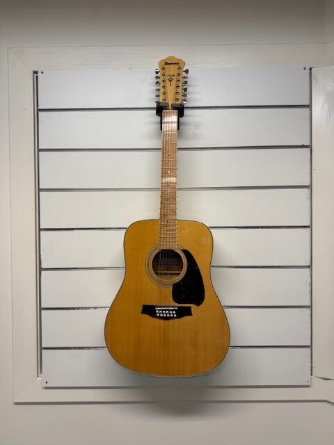 ibanez 12 streng
